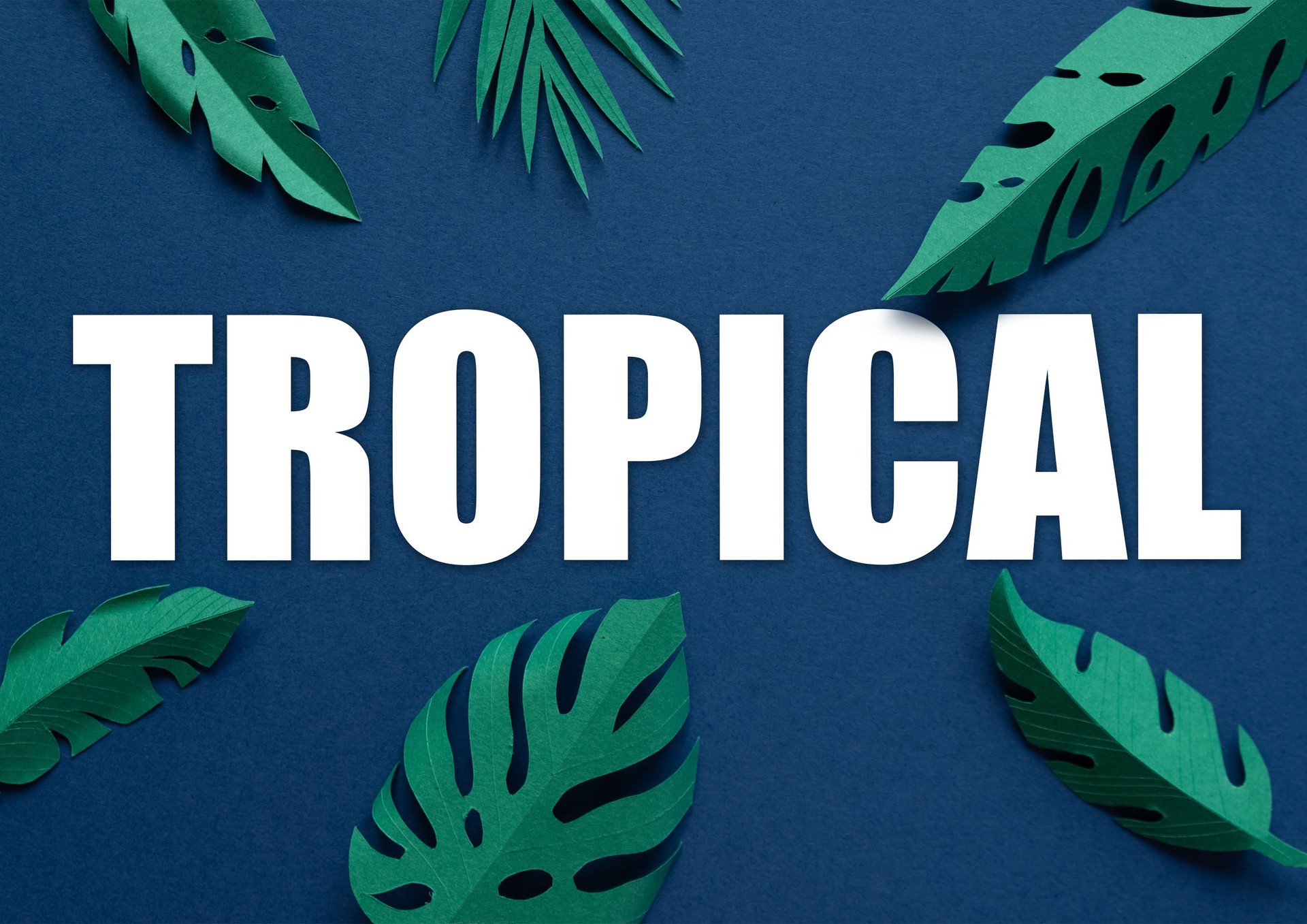 Lettering tropical with tropical leaves cut from paper on a blue background.