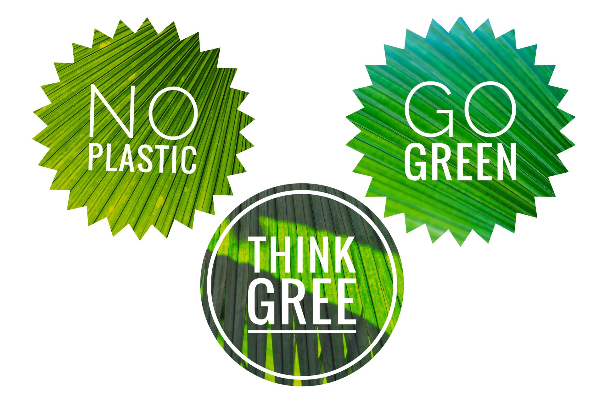 Ecological logo with natural green leaf pattern on white background